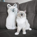 Custom Cat Pillow