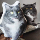 Custom Cat Pillow
