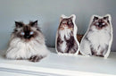 Custom Cat Pillow