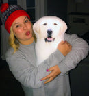 Custom Dog Pillow