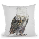 Arctic Owl Throw Pillow By Andreas Lie