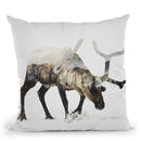 Arctic Reindeer Throw Pillow By Andreas Lie
