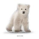 Custom Bear Pillow