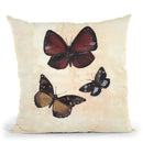 Butterfly Study Ii Throw Pillow By Christine Lindstrom