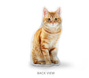 Custom cat pillow by lifelike pillows back view