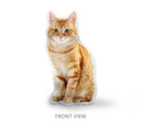 Custom cat pillow by lifelike pillows front view