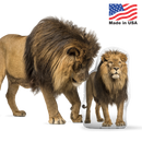 Custom Lion Pillow