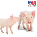 Custom Pig Pillow