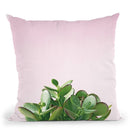 Succulent Simplicity Iii On Pink Throw Pillow By Felicity Bradley