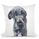 Great Dane Throw Pillow By George Dyachenko