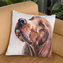 Irish Setter Throw Pillow By George Dyachenko