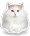 Louie Head In The Game Throw Pillow