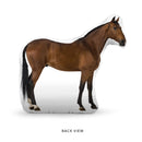 Custom Horse Pillow
