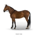 Custom Horse Pillow