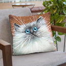 Copper Kitten Throw Pillow By Kim Huskins