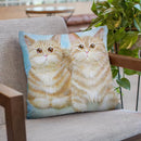 Felix & Oscar Throw Pillow By Kim Huskins