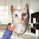 Custom Cat Pillow