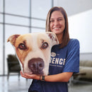 Custom Dog Pillow