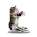 Rexiecat Waving Throw Pillow