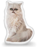 Wilfred Warrior Wilfred Regal Throw Pillow