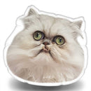 Wilfred Warrior Cute Throw Pillow