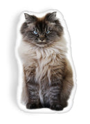 Merlin U Woke Me Up, For That Throw Pillow