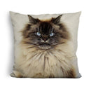Merlin Sleeping Is Exhaustinguare Throw Pillow