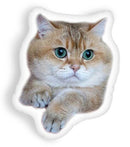 Hosico Just Hang In Thereaped Throw Pillow